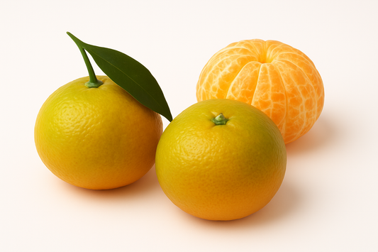 Clementine primosole